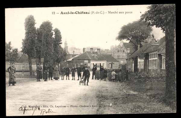 FRANCE, Auxi-le-Chateau, marche aux porcs, anim&eacute; (62)