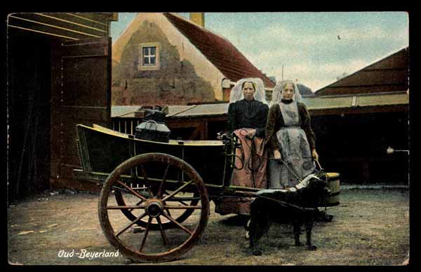 NETHERLANDS, Oud Beijerland, DOG-CART, Zuid-Holland
